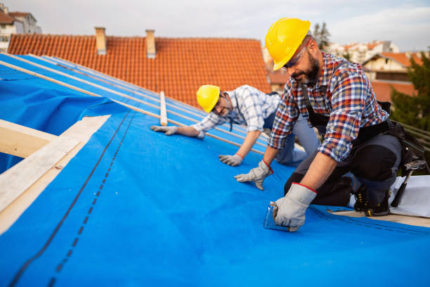 Best Metal Roofing Contractor  in Curwensville, PA
