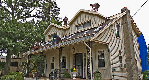 Best Storm Damage Roof Repair  in Curwensville, PA