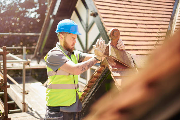 Best Roof Gutter Cleaning  in Curwensville, PA