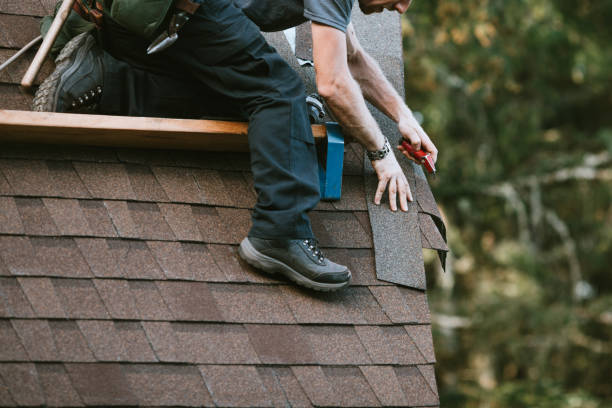 Best Local Roofing Companies  in Curwensville, PA